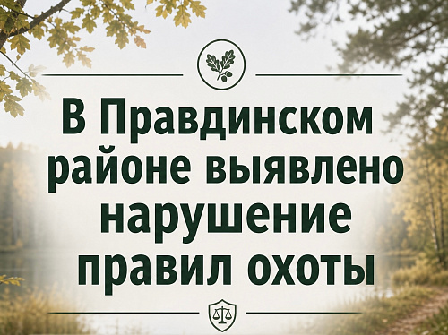 В Правдинском районе выявлено нарушение правил охоты